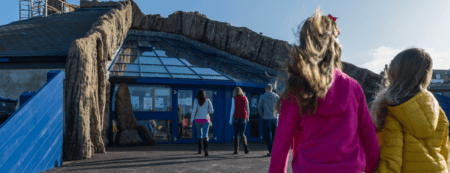 Visitors walking towards a glass-fronted blue building beneath a rocky overhang