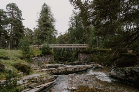Wooden footbridge over a rocky river surrounded by pine forest