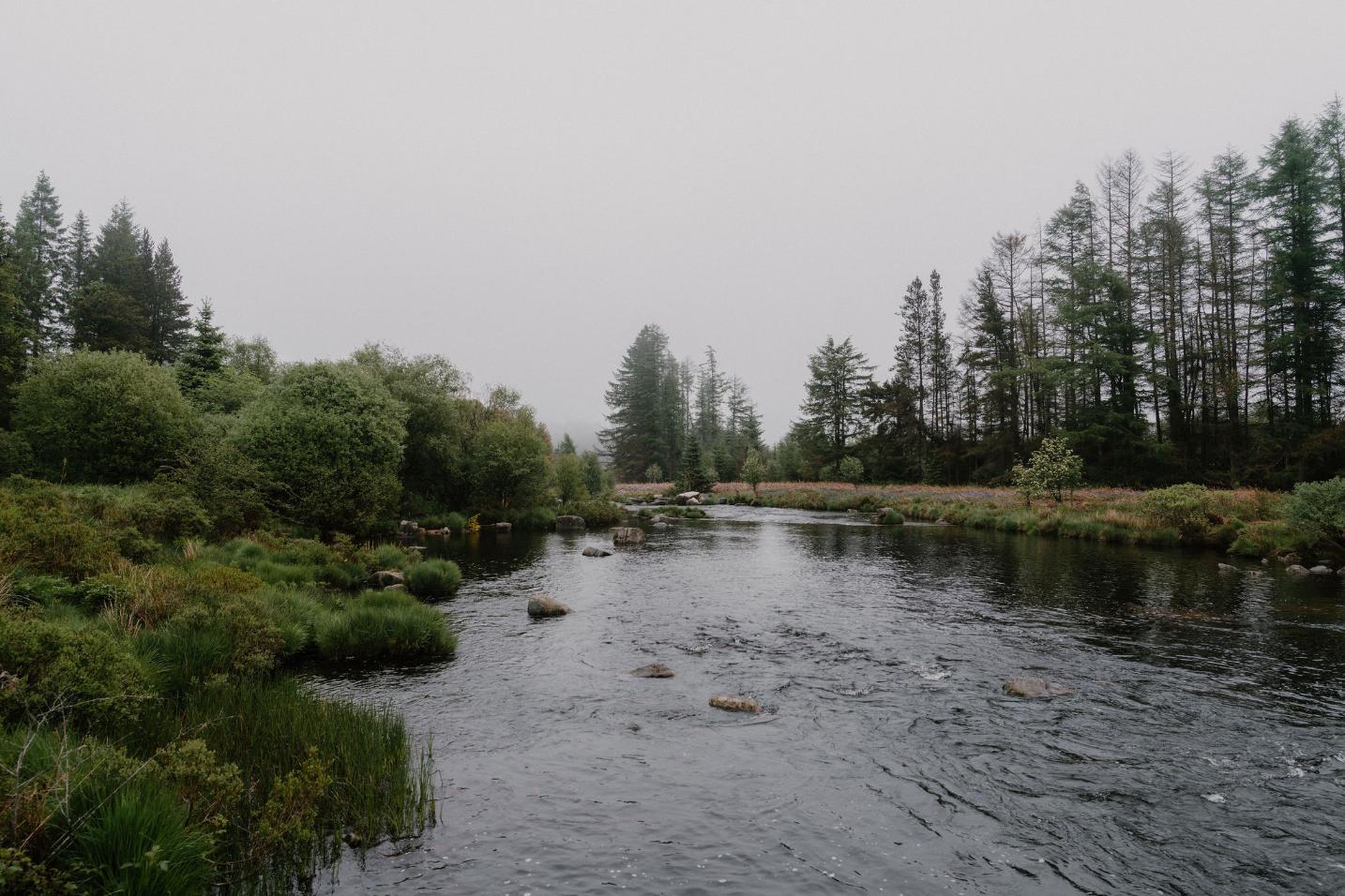 Otters Pool