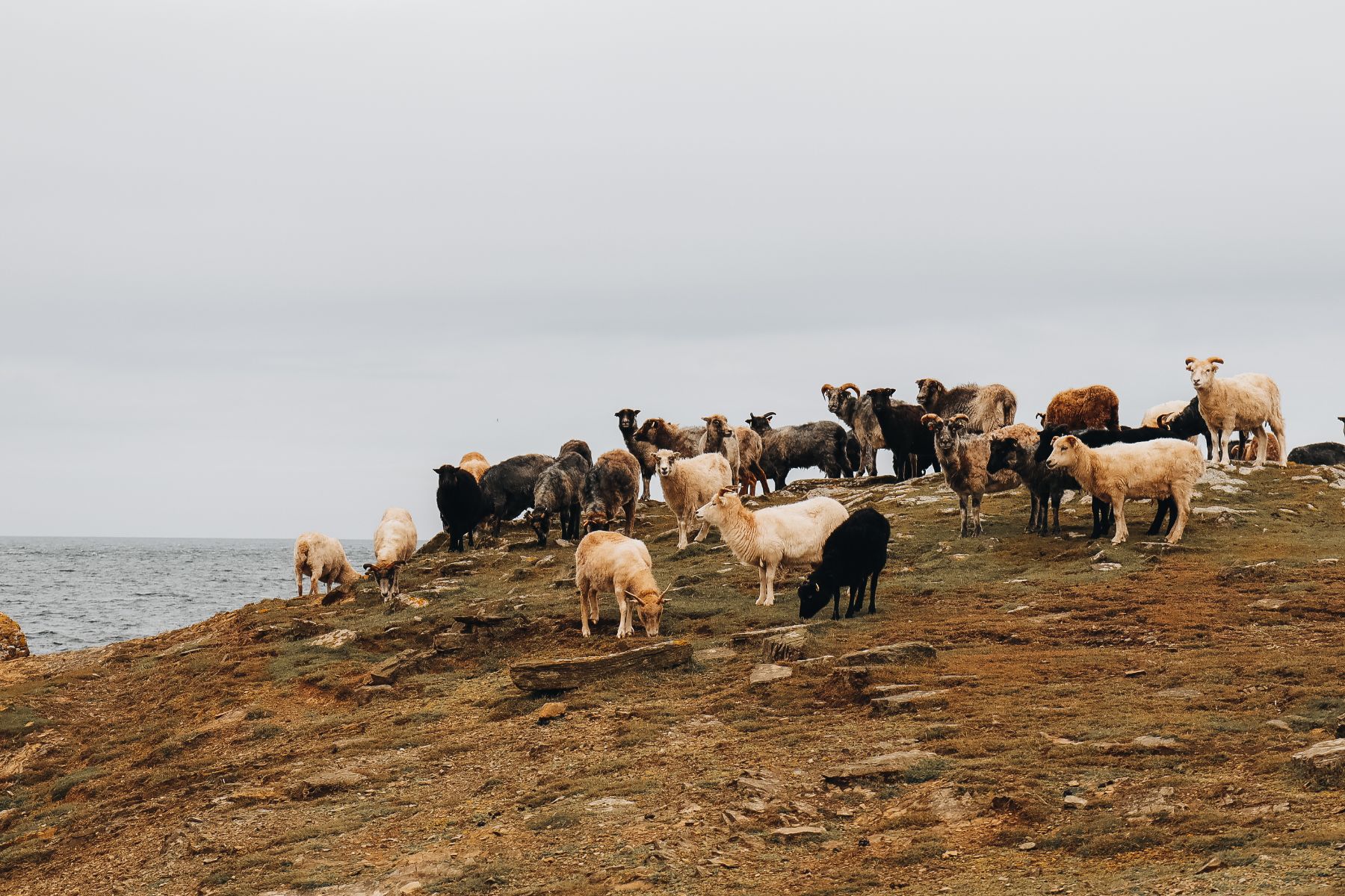 Orkney