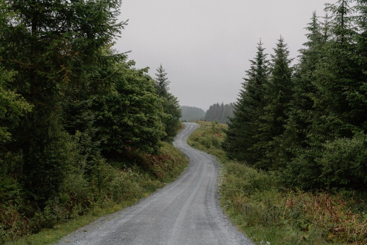 Raiders Forest Drive
