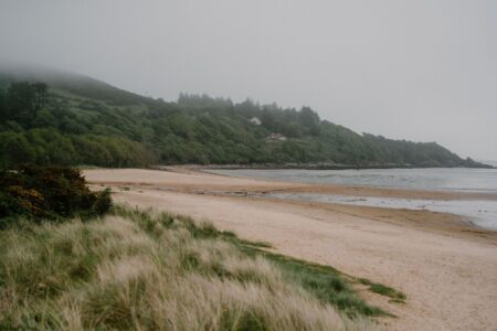 Sandy beach curves beneath a mist-covered, tree-lined hillside