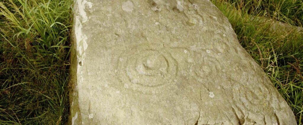 Carved stone slab with cup and ring marks set among grass