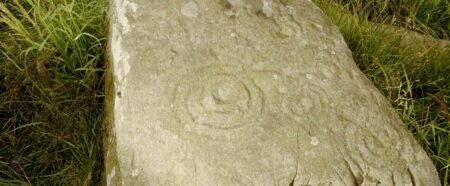 Carved stone slab with cup and ring marks set among grass