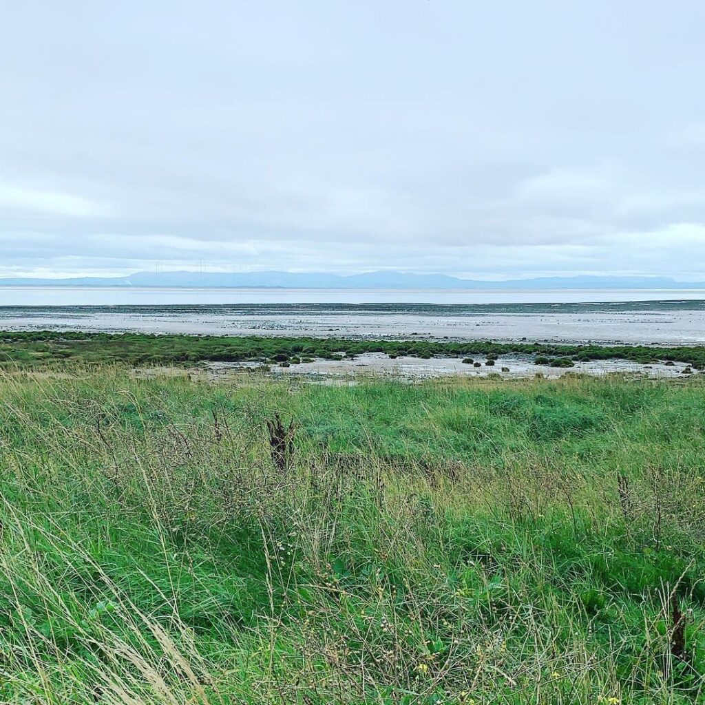Grassy shoreline overlooking mudflats and distant hills across the firth
