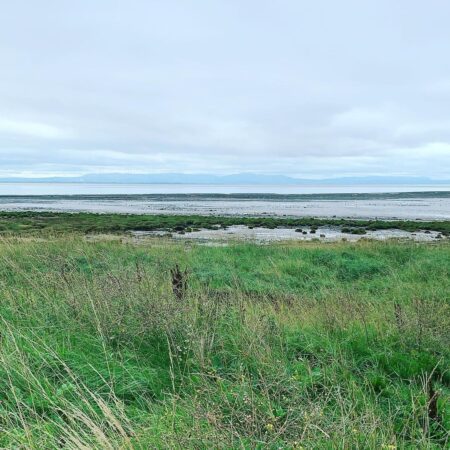 Grassy shoreline overlooking mudflats and distant hills across the firth