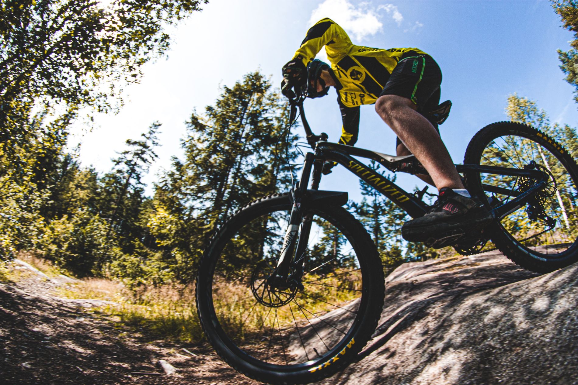 7stanes - mountain biking heaven