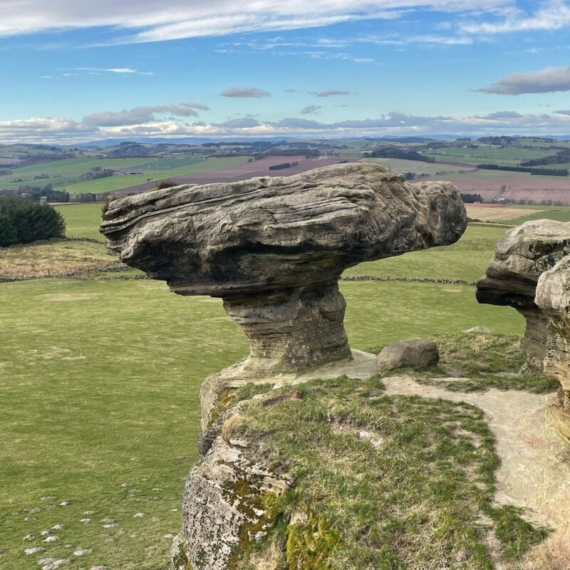 Bunnett Stane
