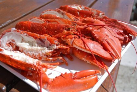 Reilly Shellfish Lobster Hut