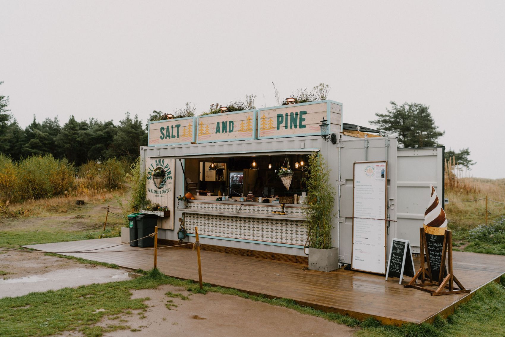 Salt and Pine