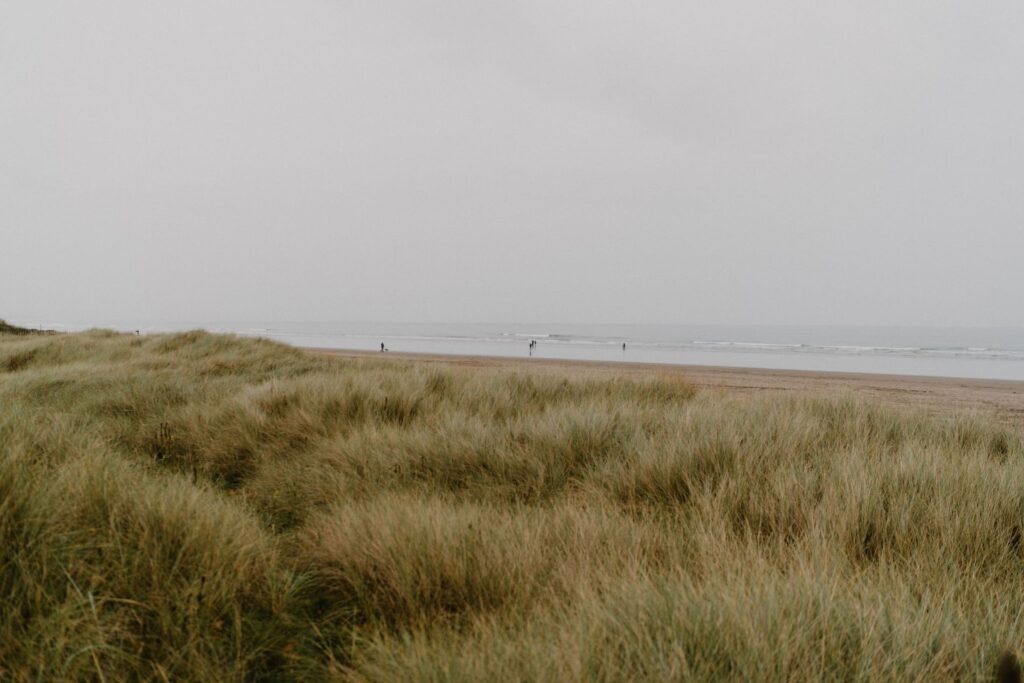 https://hiddenscotland-gallery.ams3.cdn.digitaloceanspaces.com/wp/2021/12/St.Andrews-WestSandsBeach3-1024x683.jpg