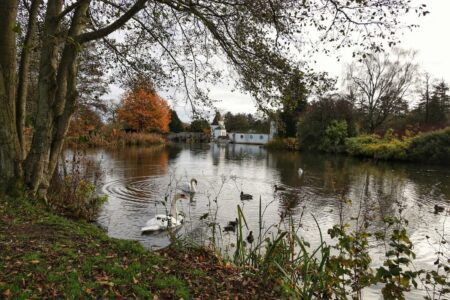 Craigtoun Park
