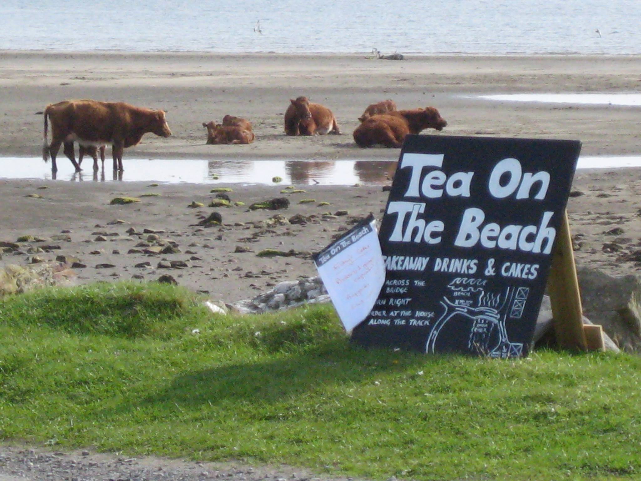 Tea on the Beach