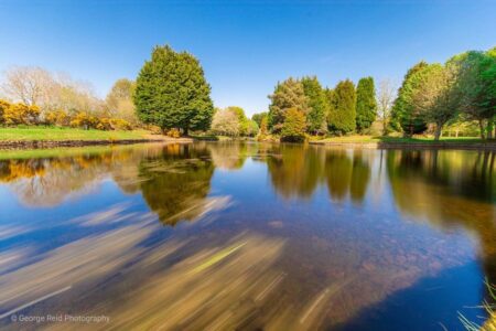 Whin Park