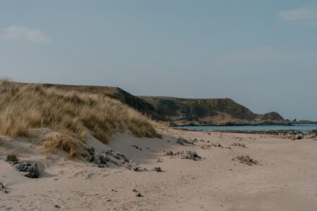 Sunnyside Beach