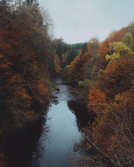 River winding through autumn woodland with orange and gold foliage