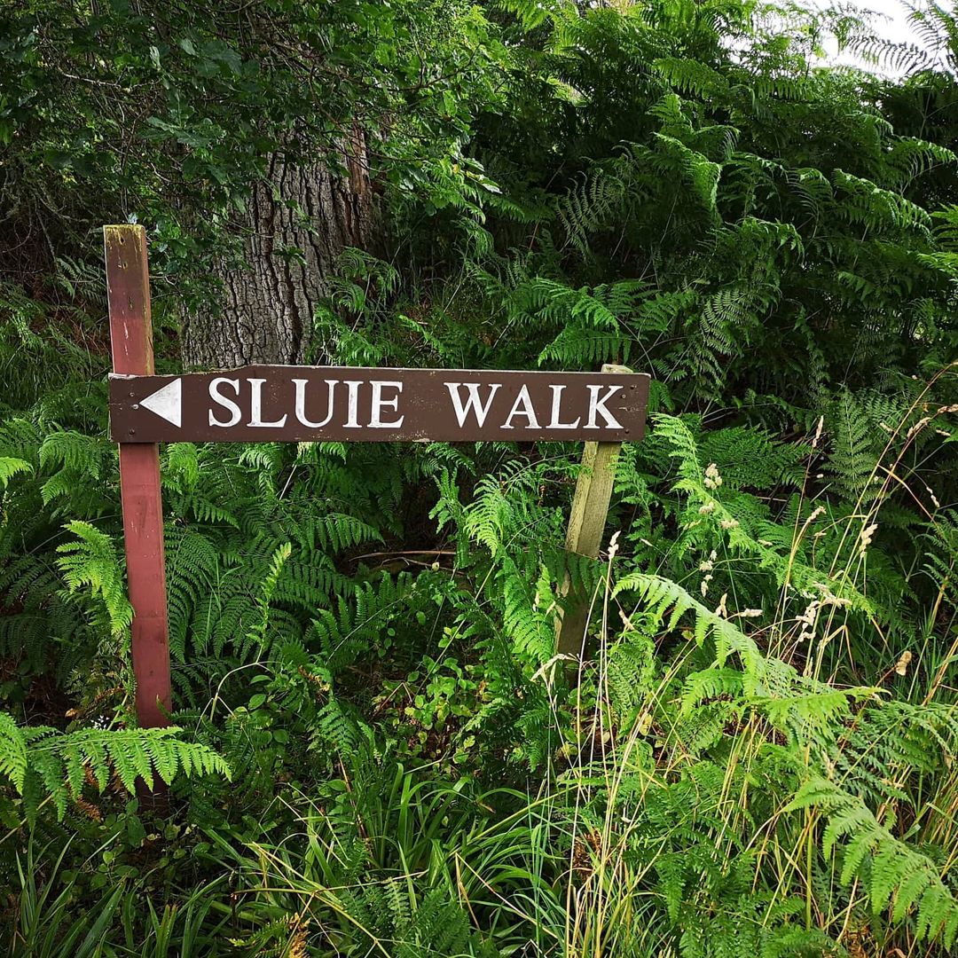 Sluie Walk