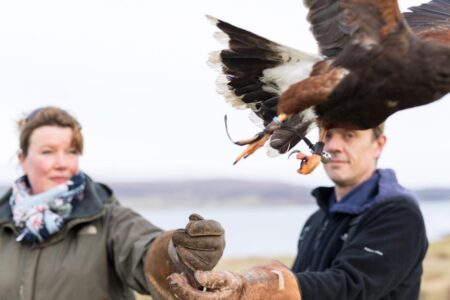 Skye Birds of Prey Experience