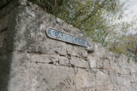 Cats Close