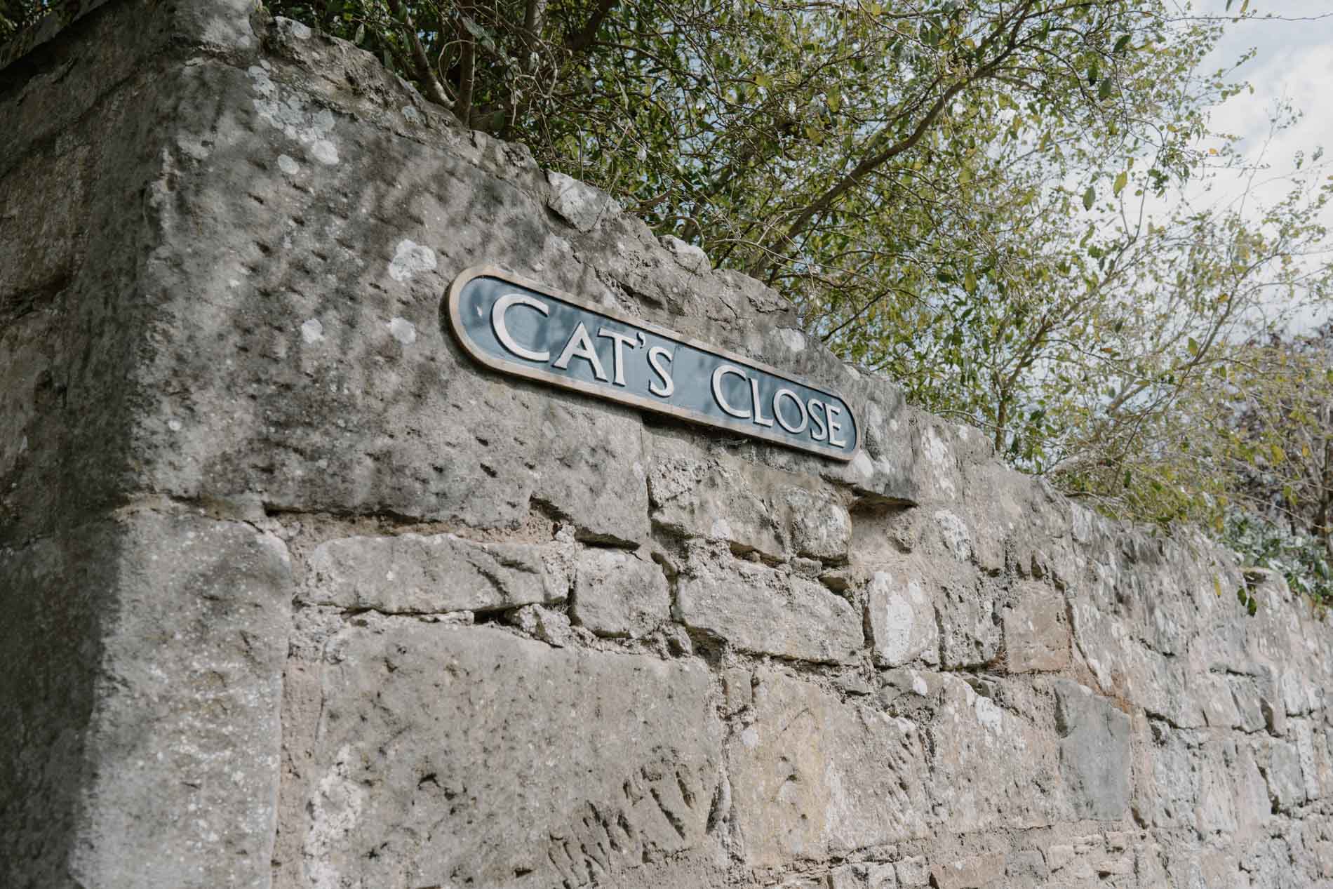 Cats Close