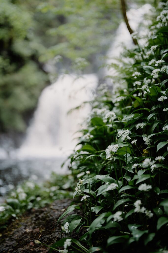 Rha waterfall