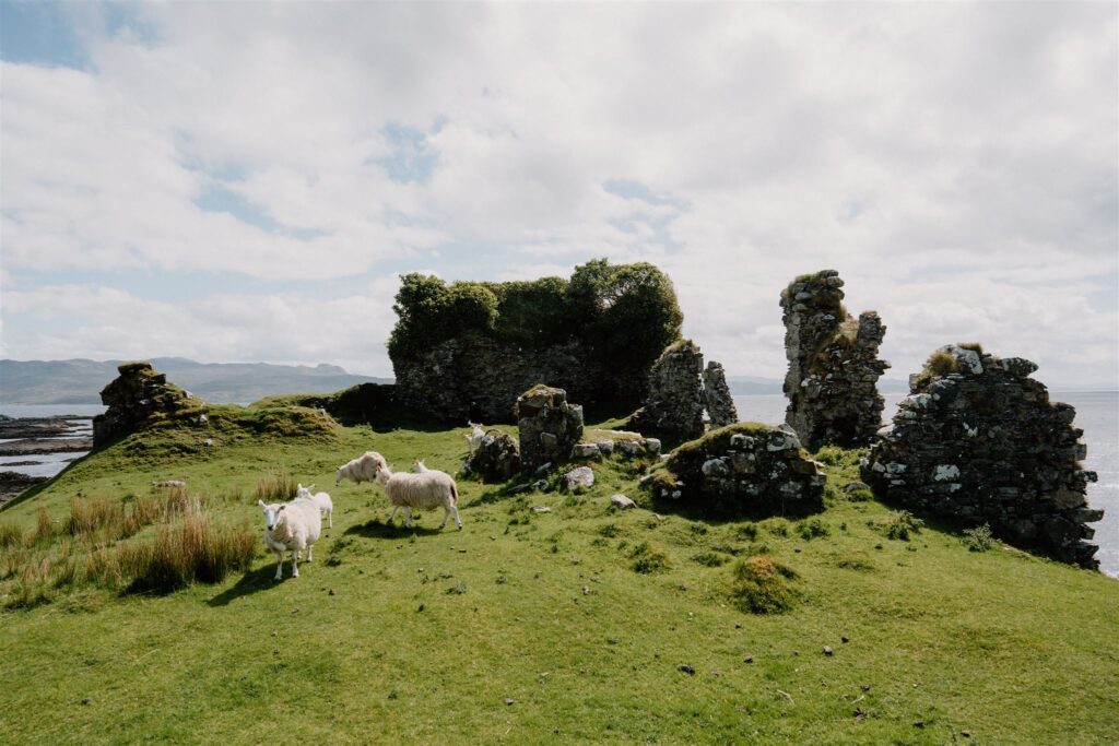 https://hiddenscotland-gallery.ams3.cdn.digitaloceanspaces.com/wp/2022/05/Knock-Castle-7_websize-1024x683.jpg