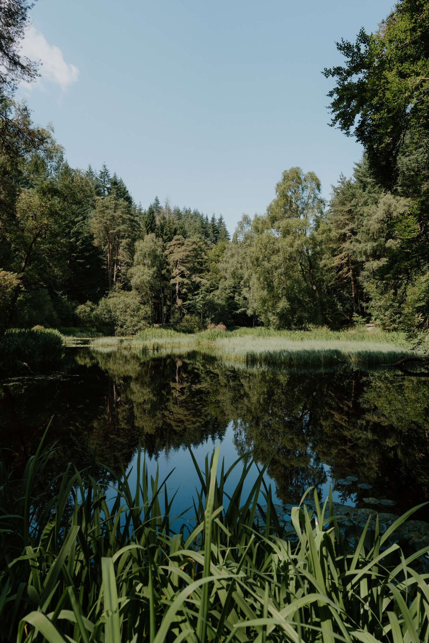 Loch Faskally