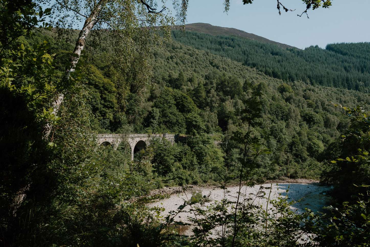 The Birks of Aberfeldy