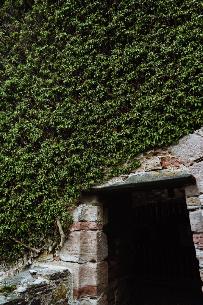 Old Castle Lachlan
