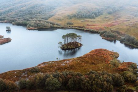Small tree-covered island in a loch surrounded by autumn moorland