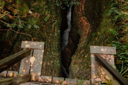 Wooden viewing platform overlooking a narrow, moss-covered gorge with a stream below