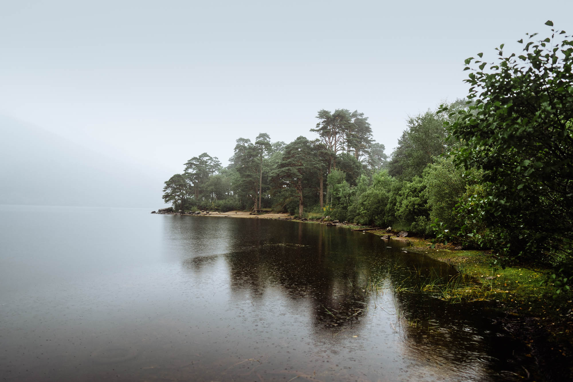 Jubilee Point, Loch Eck