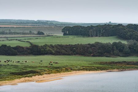 Scalpsie Bay's sand and the green fields behind, from above.