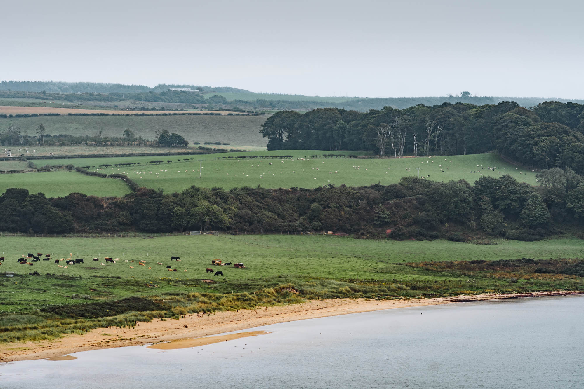 Scalpsie Bay
