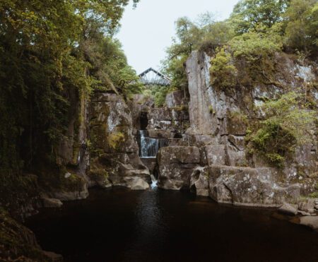 Scouts Pool