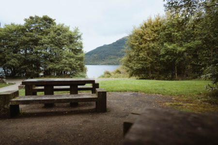 Picnic tables under the trees by the loch.