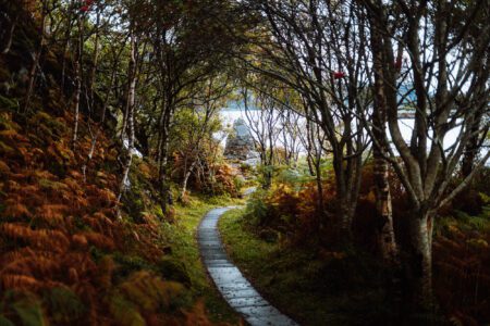 Winding path through autumn ferns and birch trees leading towards a loch