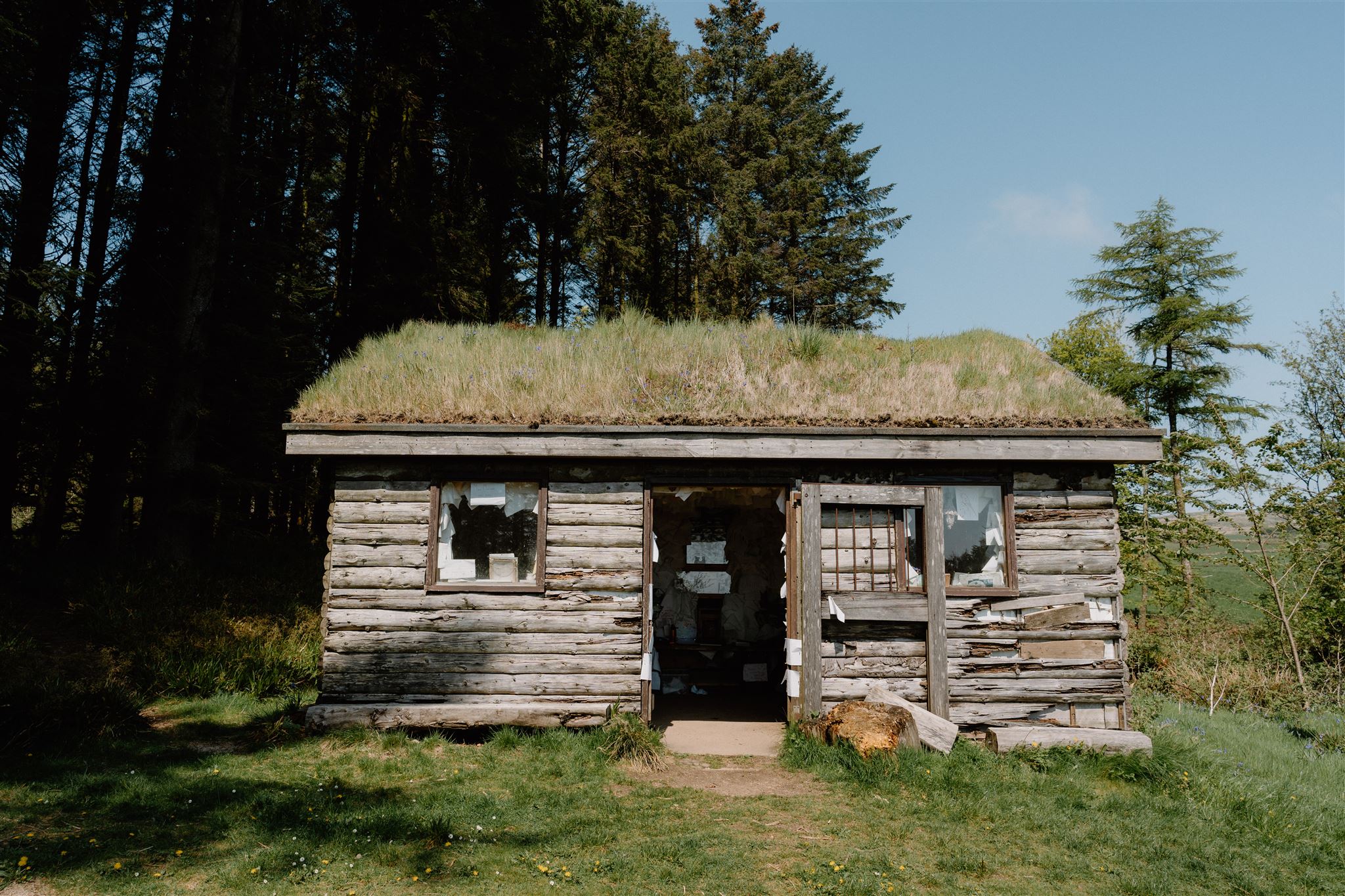 The Library in the Woods
