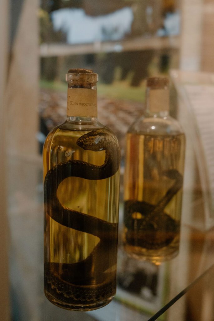 Tain Museum