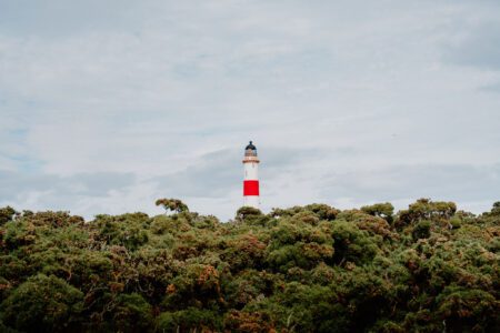 Red and white lighthouse tower rising above a dense treeline
