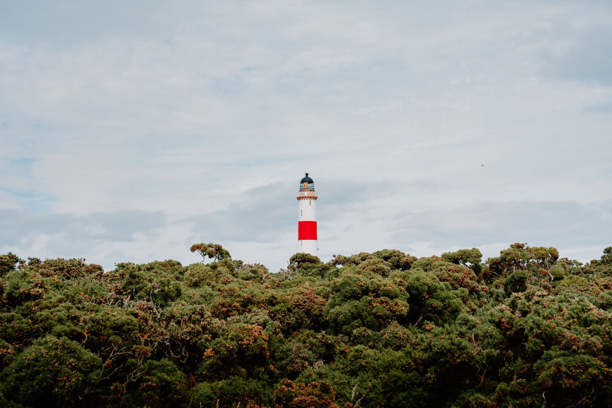Tarbat Ness Lighthouse
