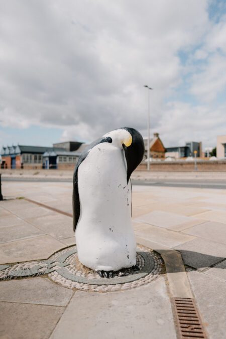 Penguin Statues