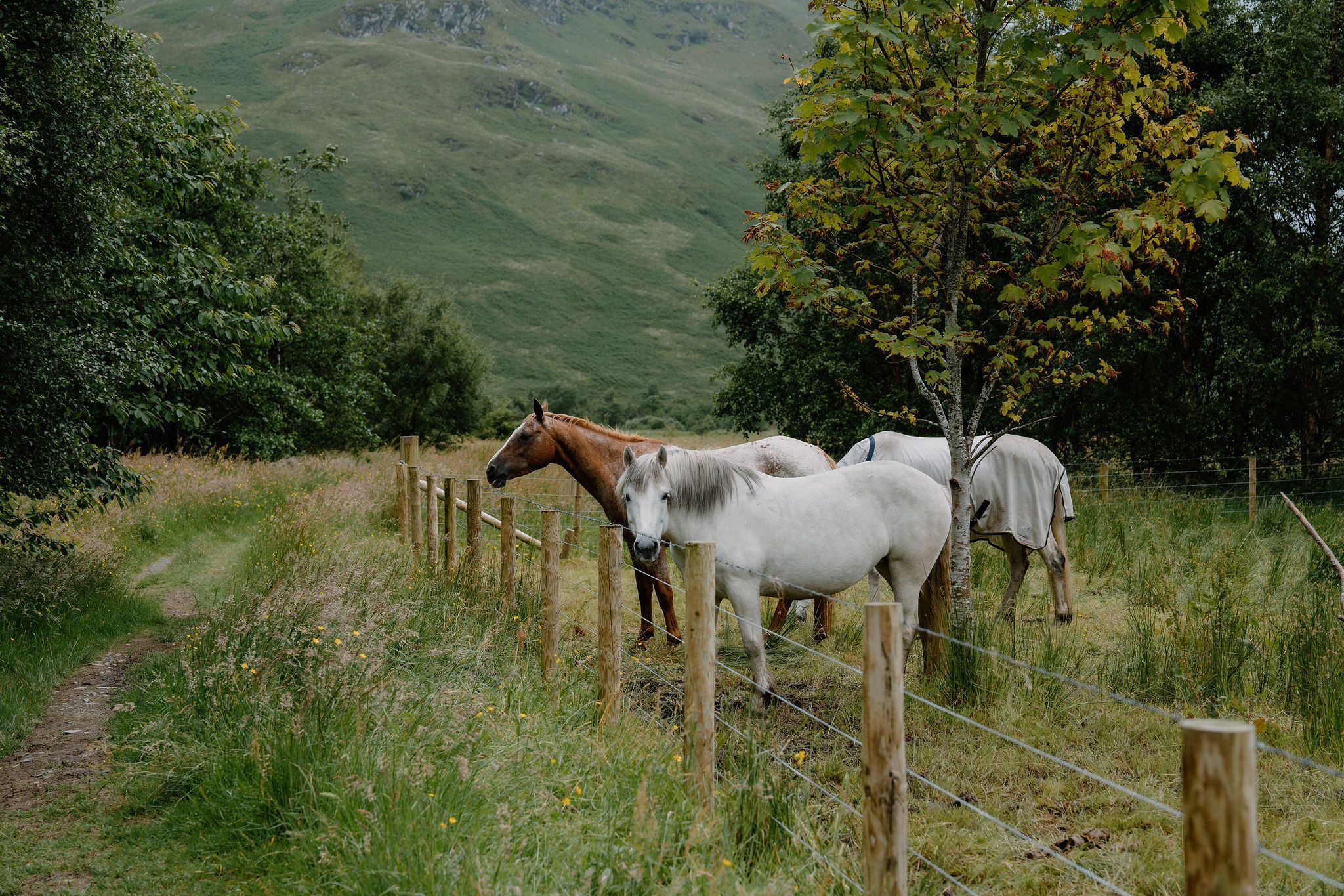 Lochaber