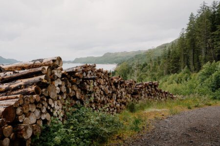 Stacked logs line a forest track above a loch and hills