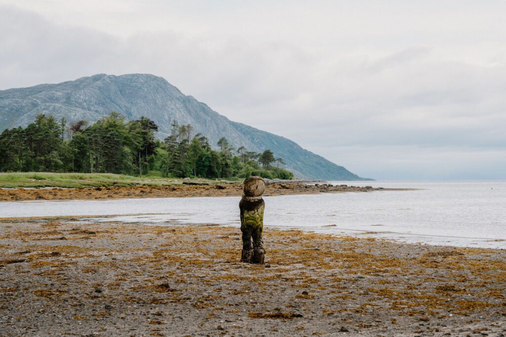 Weathered wooden post on a seaweed-strewn beach beneath a forested mountain
