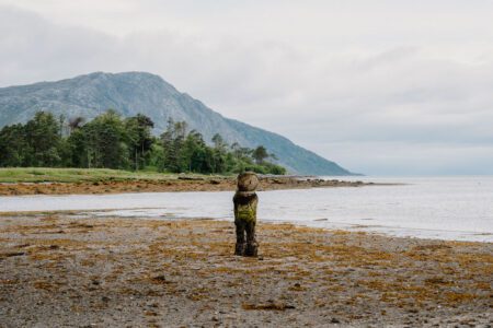 Weathered wooden post on a seaweed-strewn beach beneath a forested mountain