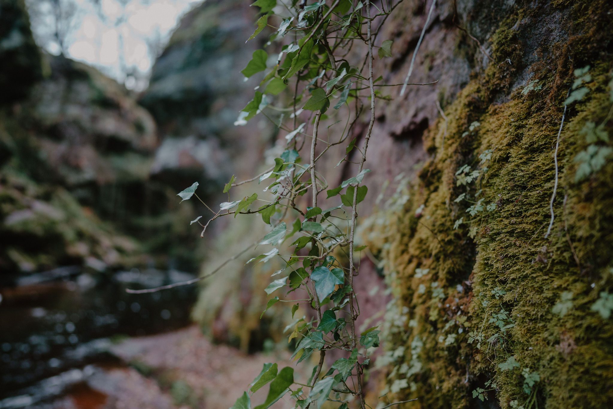 Finnich Glen