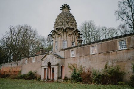 The Pineapple