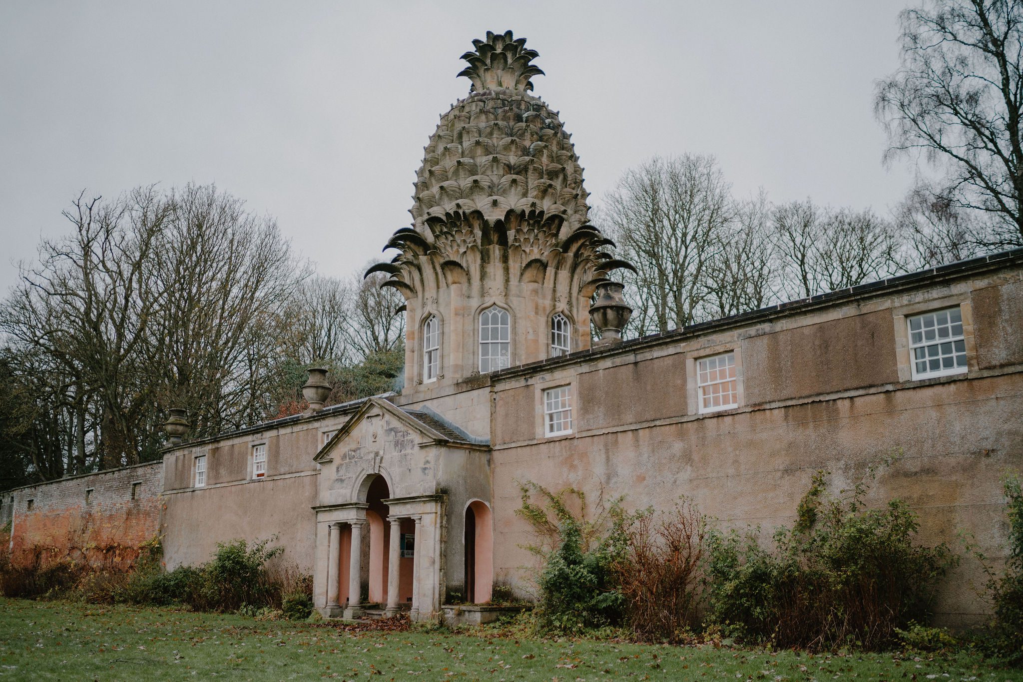 The Pineapple