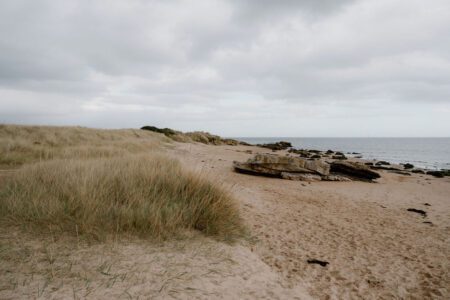 Marram grass on dunes above a sandy beach with flat rocks